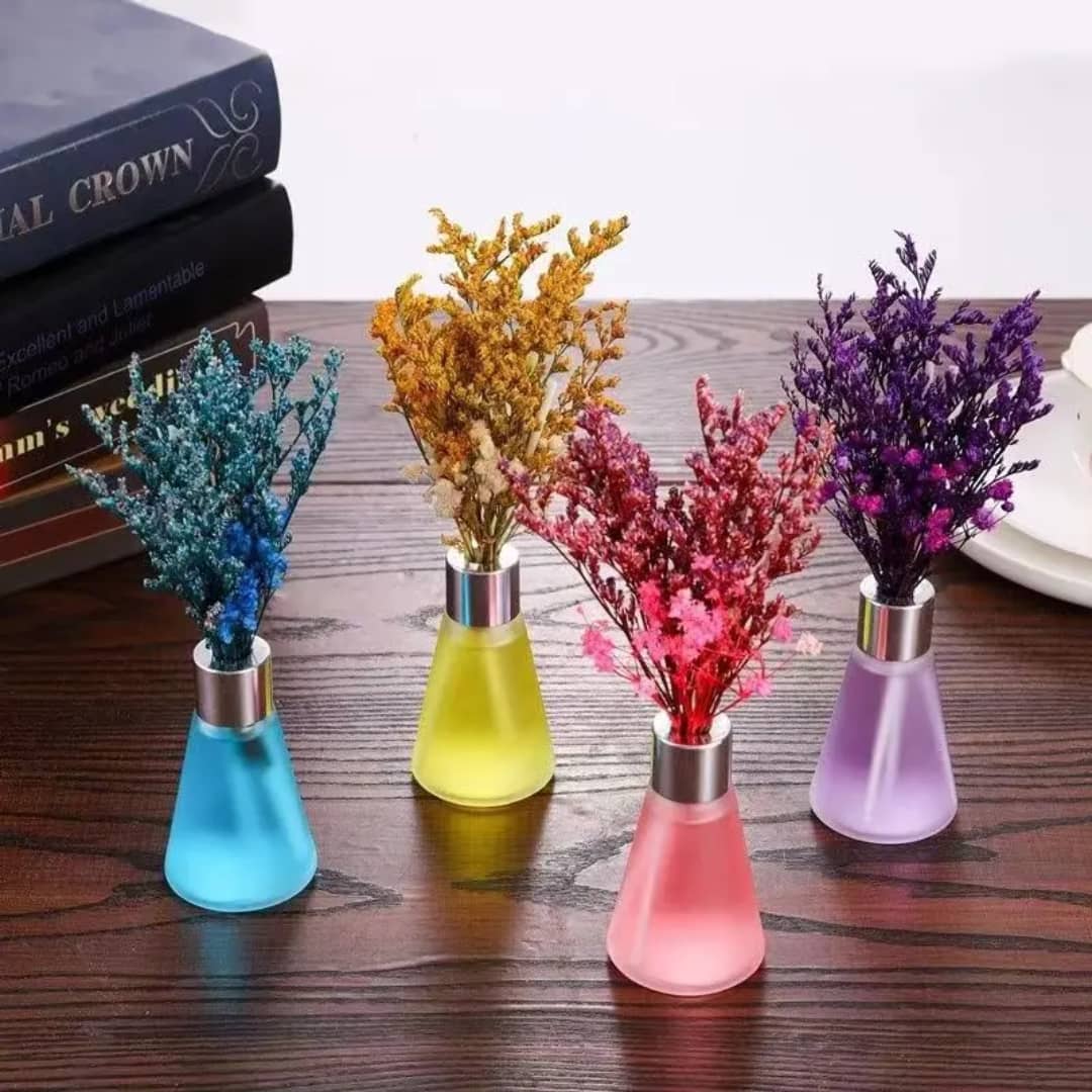 Mini Diffuseur Décoratif Fleur Séchée - Ambiance Colorée